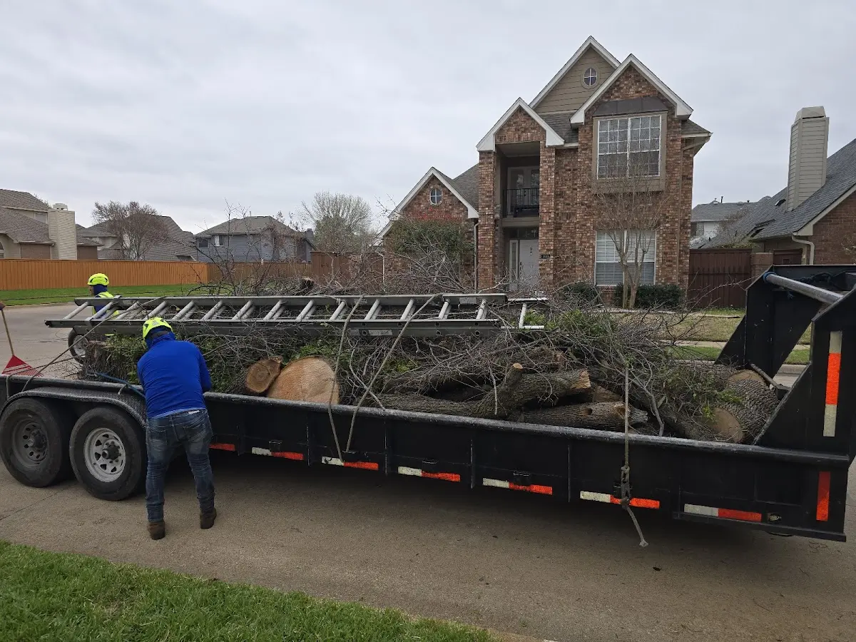 Expert Lot Clearing with proper safety equipment in Mayfield